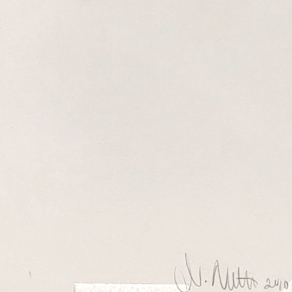 Signed Original Block Print of Bird in Frame - Picture 5 of 7